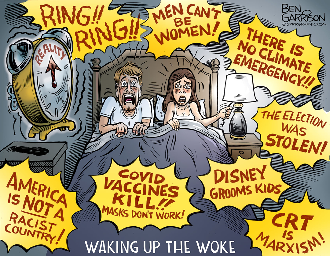 Waking the Woke panel 1